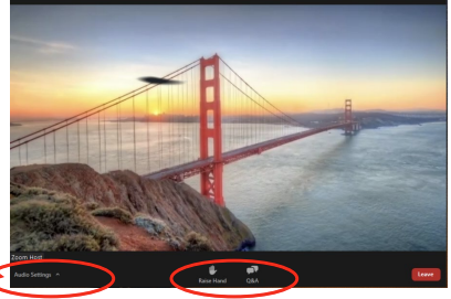 Zoom audio settings menu showing options to adjust sound